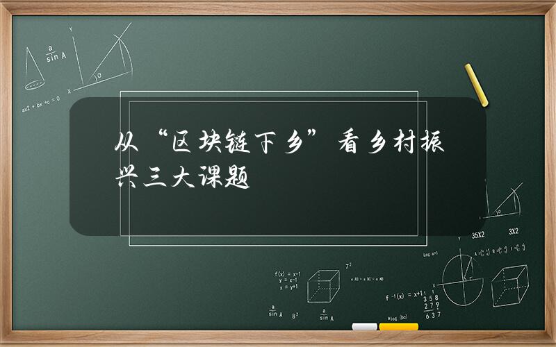 从“区块链下乡”看乡村振兴三大课题