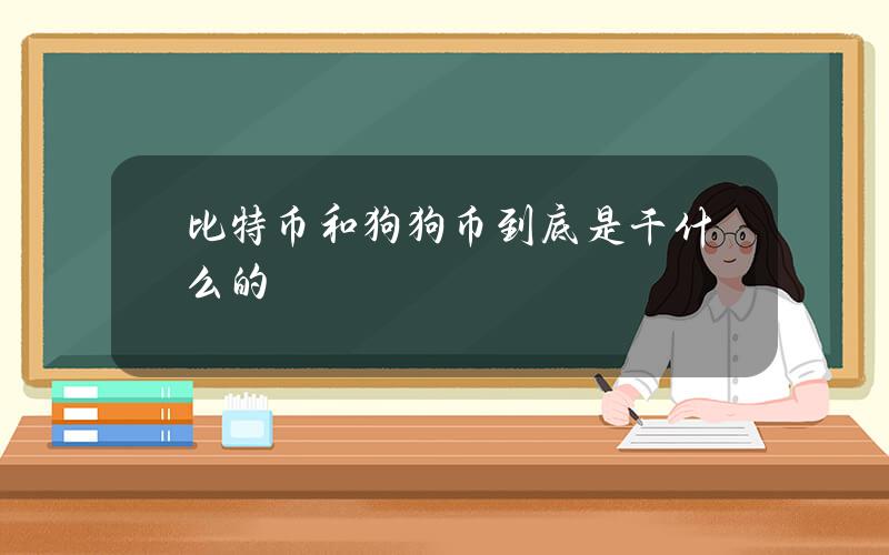 比特币和狗狗币到底是干什么的？