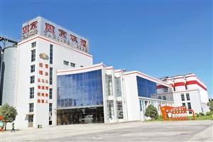 嵩明杨林经开区 走出“三张牌”的实践之路